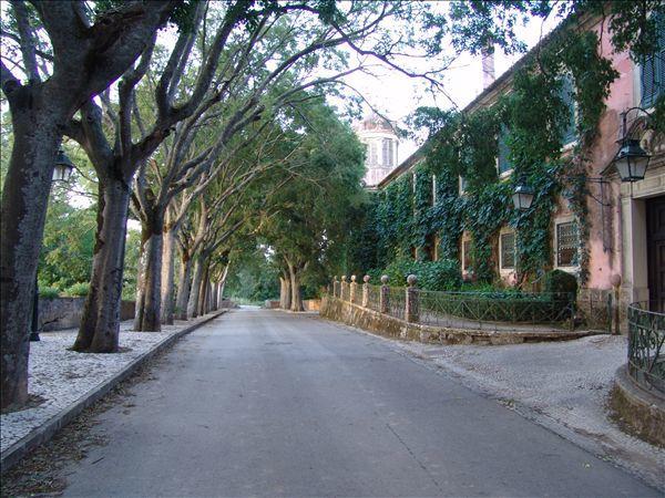 Inn Golegã Εξωτερικό φωτογραφία